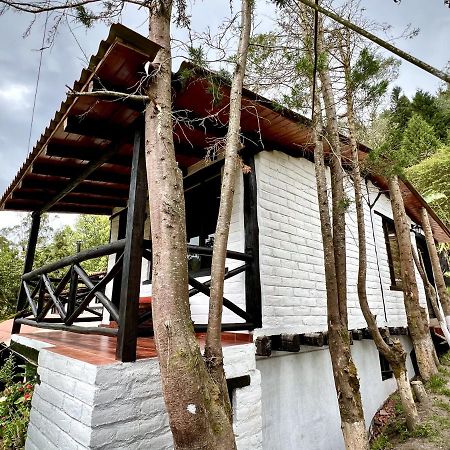 Estancia De La Campina Nono المظهر الخارجي الصورة