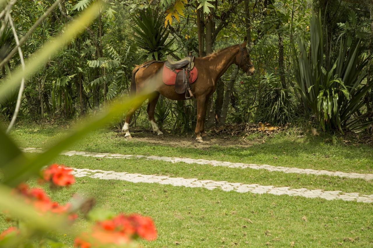 Estancia De La Campina Nono المظهر الخارجي الصورة